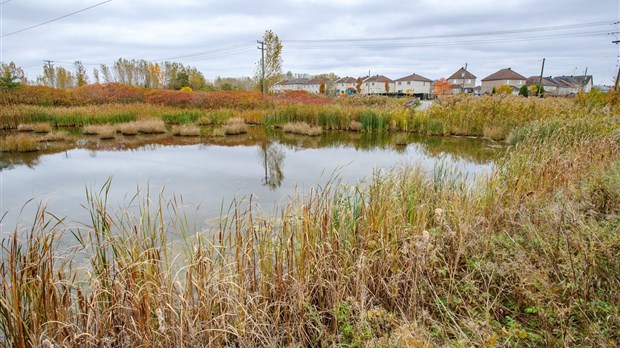 Laval en passe d'adopter un règlement de protection des milieux humides d’intérêt