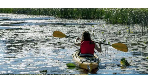 Projet de développement de l’île Gagnon : incompatible avec la mission de conservation et de protection du Parc de la Rivière-des-Milles-Îles