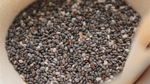 L'Agence canadienne d'inspection des aliments met en garde contre des semences venues de Chine