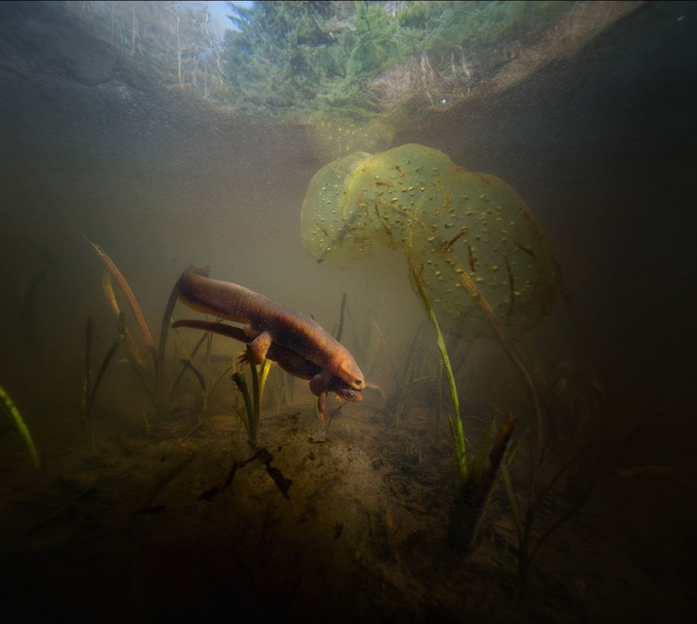 Environnement: la photographe Isabelle Hayeur présente (D)énoncer