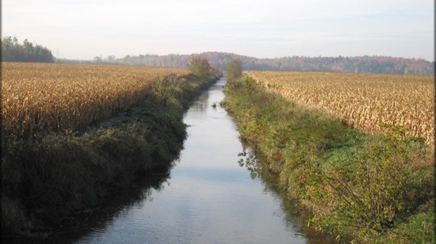 Pesticides dans les cours d'eau: des résultats encourageants, estime l'UPA