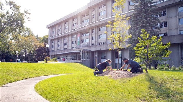 Des centaines d’arbres et végétaux plantés dans des installations du CISSS de Laval !
