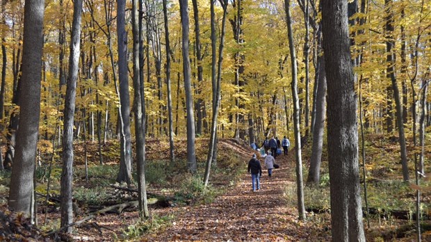 Un nouveau sentier accessible ami des aînés au bois de l’Équerre à Laval