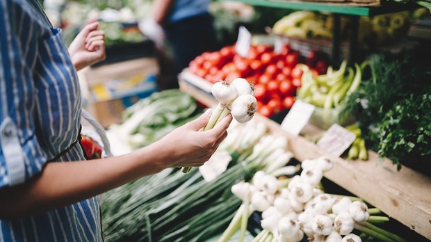 Quelque 400 000 $ pour favoriser l'accès à des produits alimentaires sains et locaux