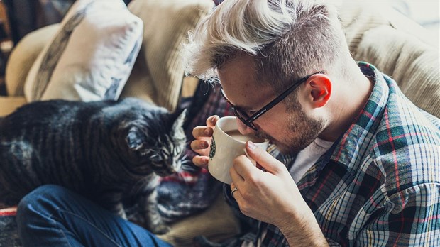 Comment réussir un salon « cosy » ?