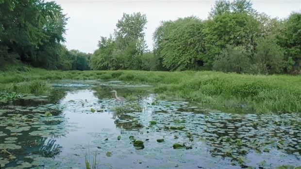 Lancement de la campagne sur la Trame verte et bleue de Laval