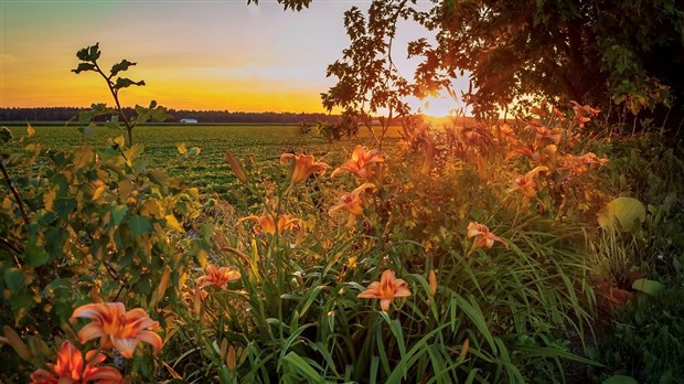 Le projet Agriclimat sélectionné pour poursuivre le travail en adaptation aux changements climatiques