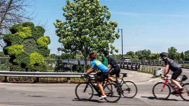 Cinq mosaïcultures 3D à découvrir à Laval