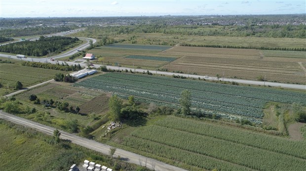 1  125  000 $ pour soutenir le secteur agroalimentaire