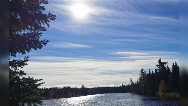 La pandémie de COVID-19 a rendu de nombreux Canadiens plus soucieux de l'environnement