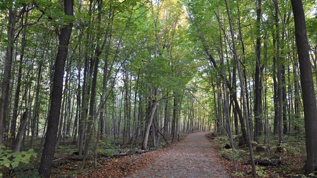 La Ville de Laval acquiert deux autres lots dans le bois de l’Équerre