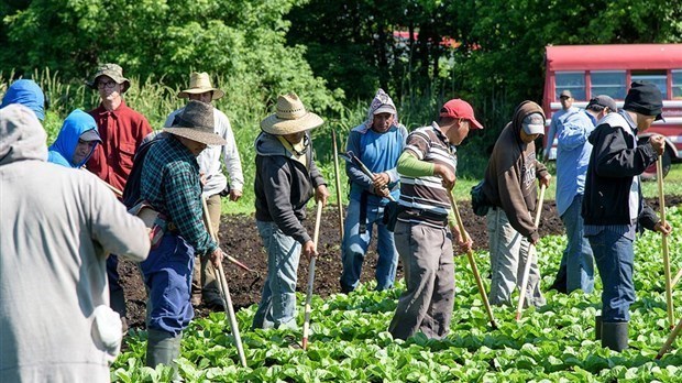 Des résultats positifs liés aux actions d’immigration et d’intégration à Laval