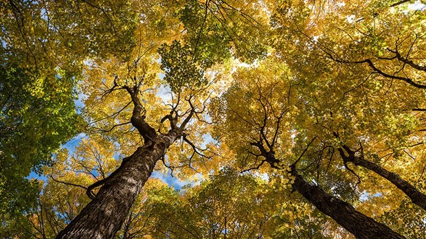 Un effort supplémentaire nécessaire pour rapprocher la nature de la population dans le sud du Québec