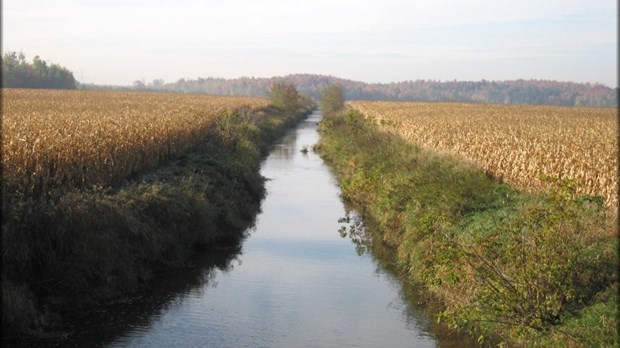 Contamination du ruisseau La Pinière : Saul Polo presse le ministre Charette d’intervenir
