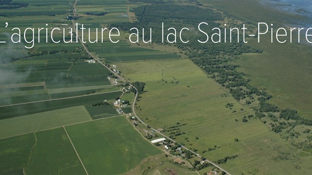 La cohabitation agriculture-faune en zone littorale du lac Saint-Pierre, en  voie vers une réussite!