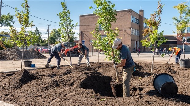 Laval octroie une subvention de 500 000 $ à l’organisme CANOPÉE pour verdir son territoire