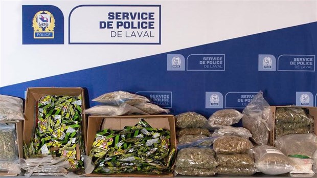 Perquisitions de drogues et arme à feu