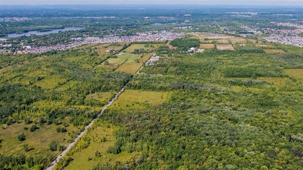 Laval acquiert plus de 30 ha de milieux naturels pour consolider la protection de 3 de ses plus grands bois  