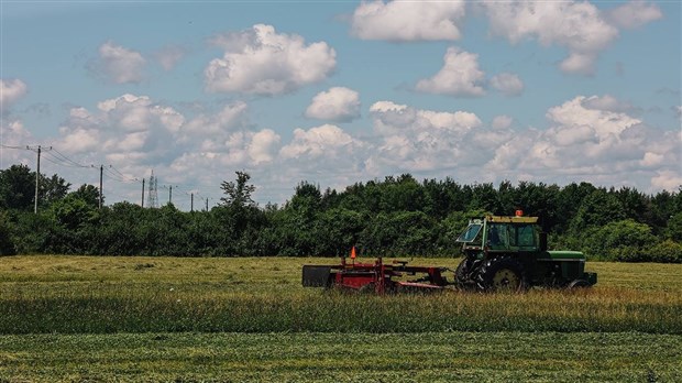 Les Producteurs de grains du Québec interpellent le gouvernement en regard des défis de la chaîne d’approvisionnement