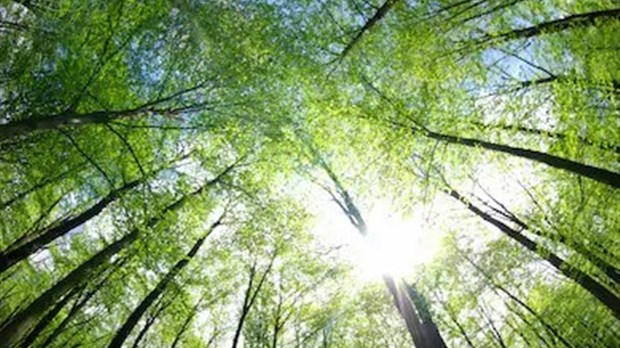 Le Salon des technologies environnementales du Québec est de retour à Québec