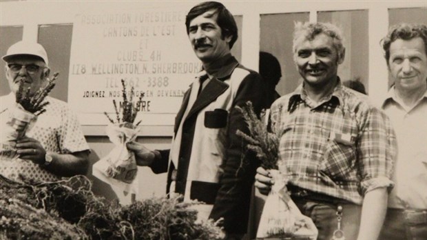 La traditionnelle fête québécoise des arbres célèbre ses 140 ans