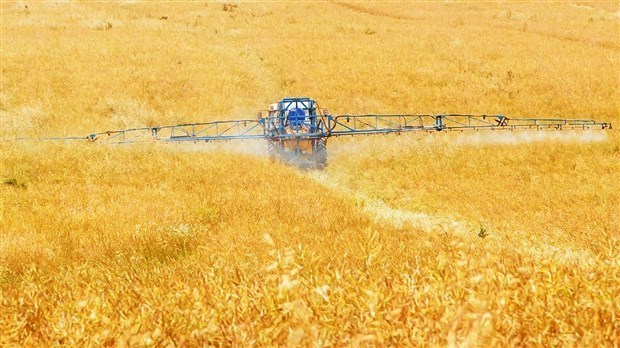 Les producteurs de grains réclament des amendements majeurs au projet de loi sur les agronomes