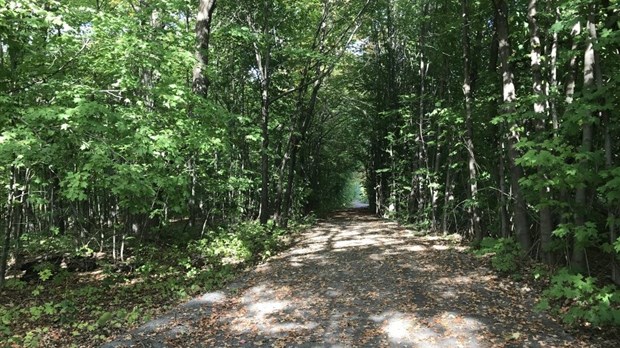 Écoute… Saint-Placide, un parcours entre nature, musique et conte