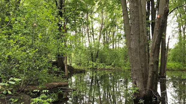 La Ville de Laval est officiellement propriétaire de l’île Locas