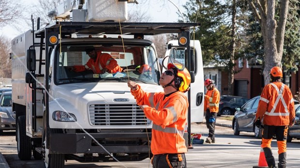 La Ville de Laval est aux petits soins avec ses 120 000 arbres