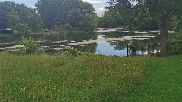 Baignade en eau naturelle : méfiez-vous de la qualité de l’eau
