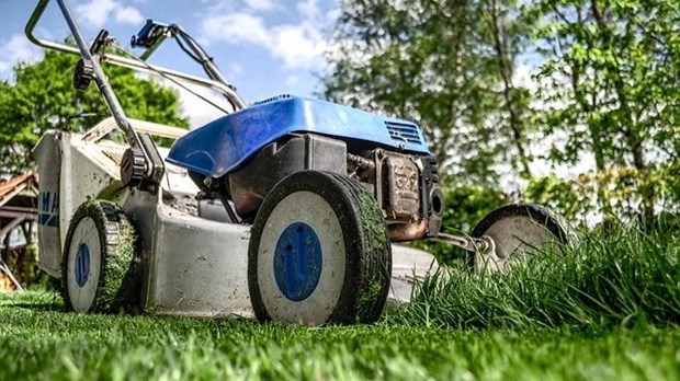 Producteurs de gazon : des contributeurs au bien-être des familles et de l'environnement