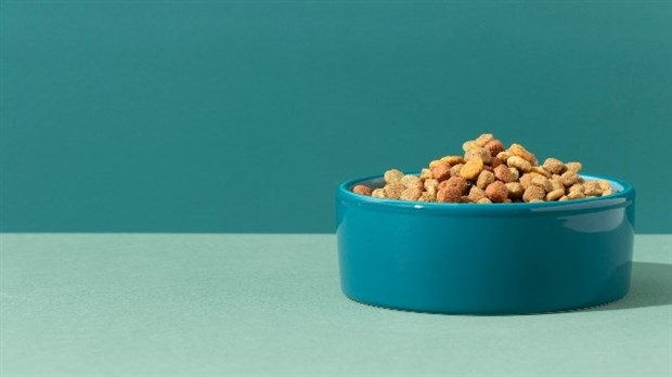 Nourriture pour animaux cuite au four