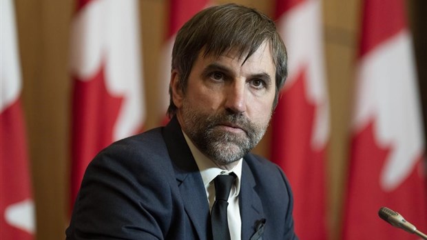De militant à ministre: retour sur la première année de Guilbeault à l'Environnement
