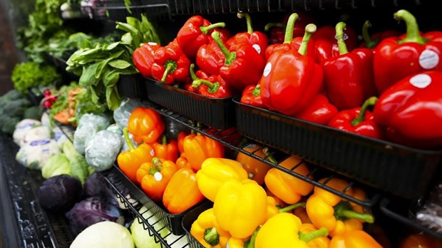 La littératie agricole, un apprentissage de plus en plus nécessaire