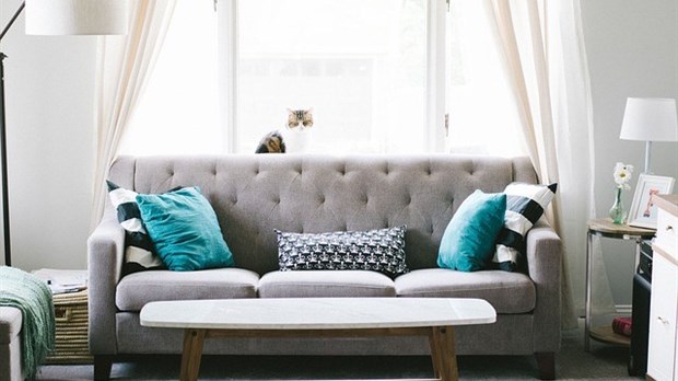 Les dernières tendances de stores pour le salon