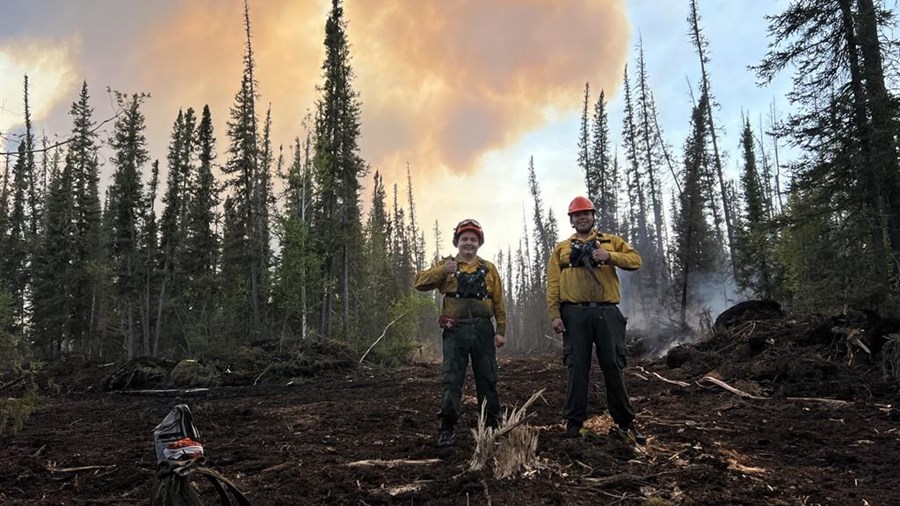 Québec demande d'éviter les déplacements en forêt