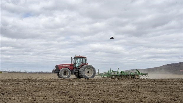 Devant les champs asséchés, le milieu agricole s'inquiète du manque de pluie