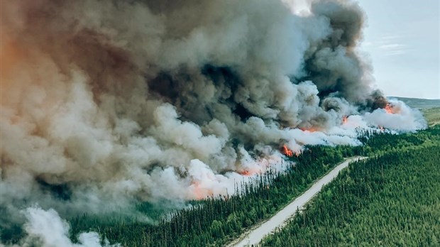 Les feux de forêt auront un dur impact sur la faune, incluant les poissons