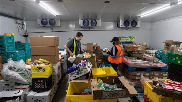 Le glanage pour lutter contre l'insécurité alimentaire des Canadiens