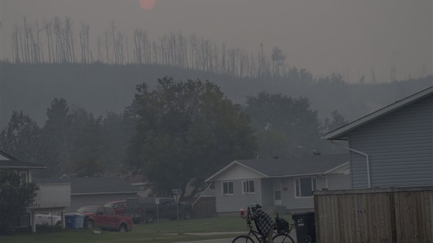Les feux de forêt de 2023 ont rejeté plus de CO2 dans l'atmosphère que des avions