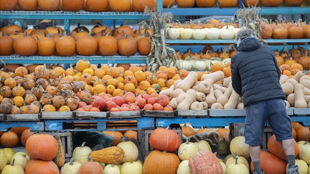L'automne devrait être chaud et sec, mais gare aux vestiges de tempêtes!