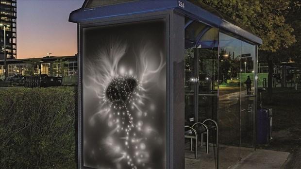Zoom Art revient pour une cinquième année