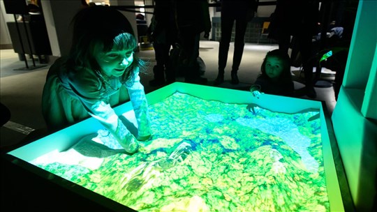 Dix jours d’immersion numérique et technologique dans les bibliothèques