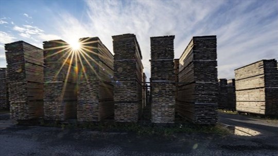 L'industrie forestière invite Ottawa à lui verser une compensation sur les droits