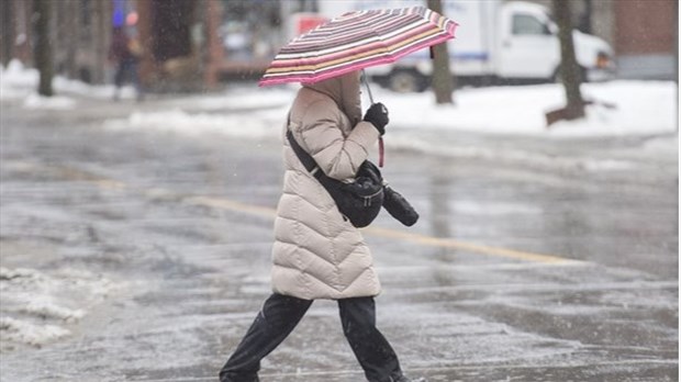 Lancement d'un nouvel institut pour les intervenants en violence conjugale