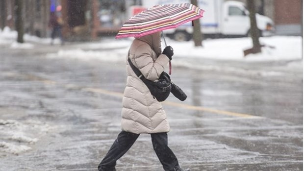 Lancement d'un nouvel institut pour les intervenants en violence conjugale