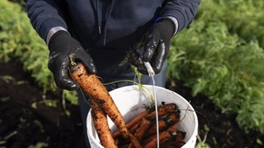 L'UPA affirme que ses membres ne peuvent soutenir la concurrence du dumping