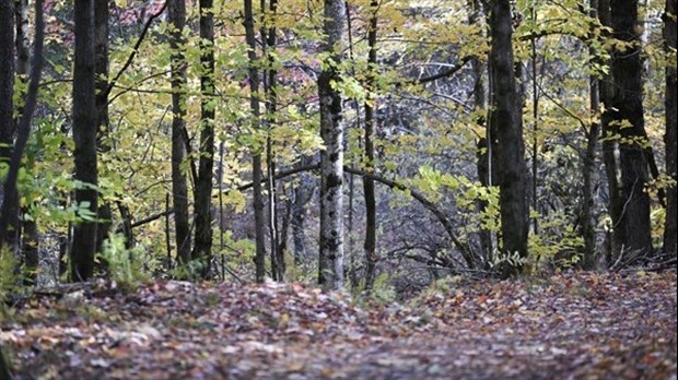 Un projet sur le microbiome urbain sera mené à Laval