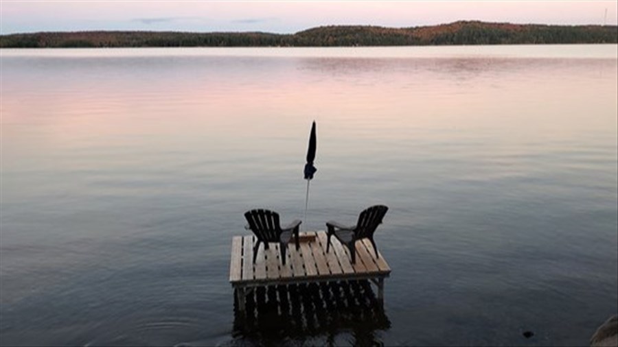 Le changement climatique est à l'origine de la prolifération des algues dans les lacs