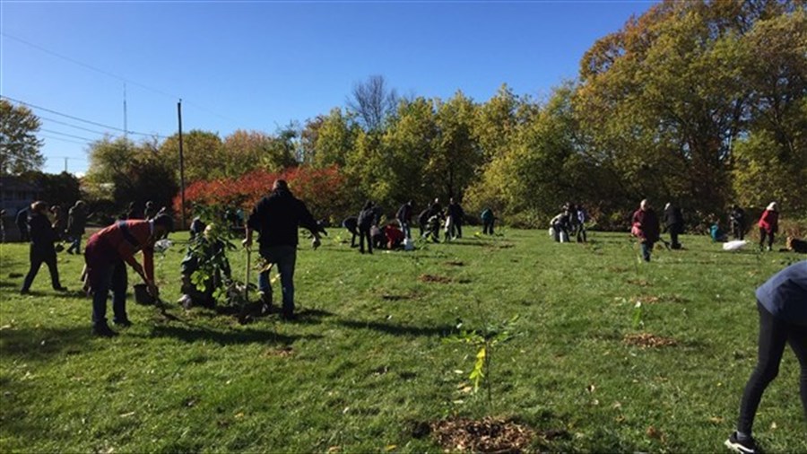 Activité bénévole de verdissement au parc de la Renaissance à Laval